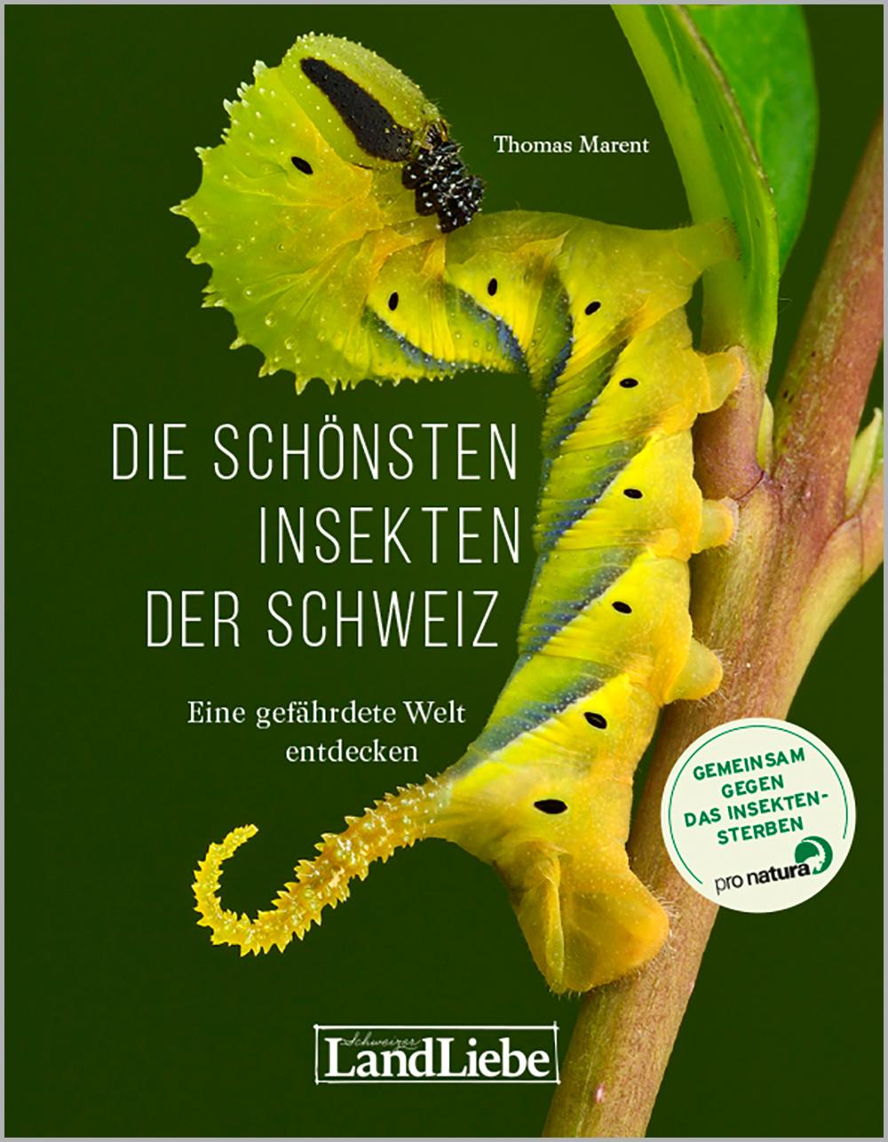 Buch / Die schönsten Insekten der Schweiz Die schönsten Insekten der Schweiz